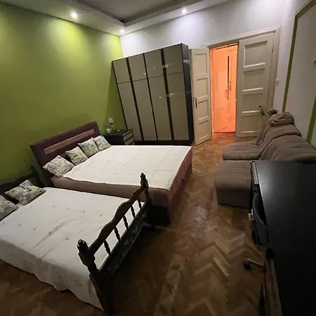 Apartment Centar Salonski Stan Izdavanje Za Exit Festival
