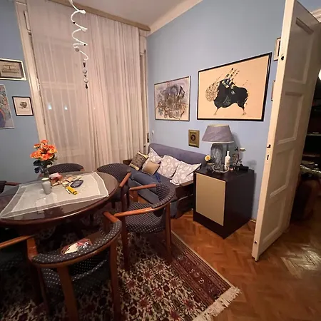 Apartment Centar Salonski Stan Izdavanje Za Exit Festival *