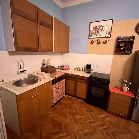 Centar Salonski Stan Izdavanje Za Exit Festival Apartment